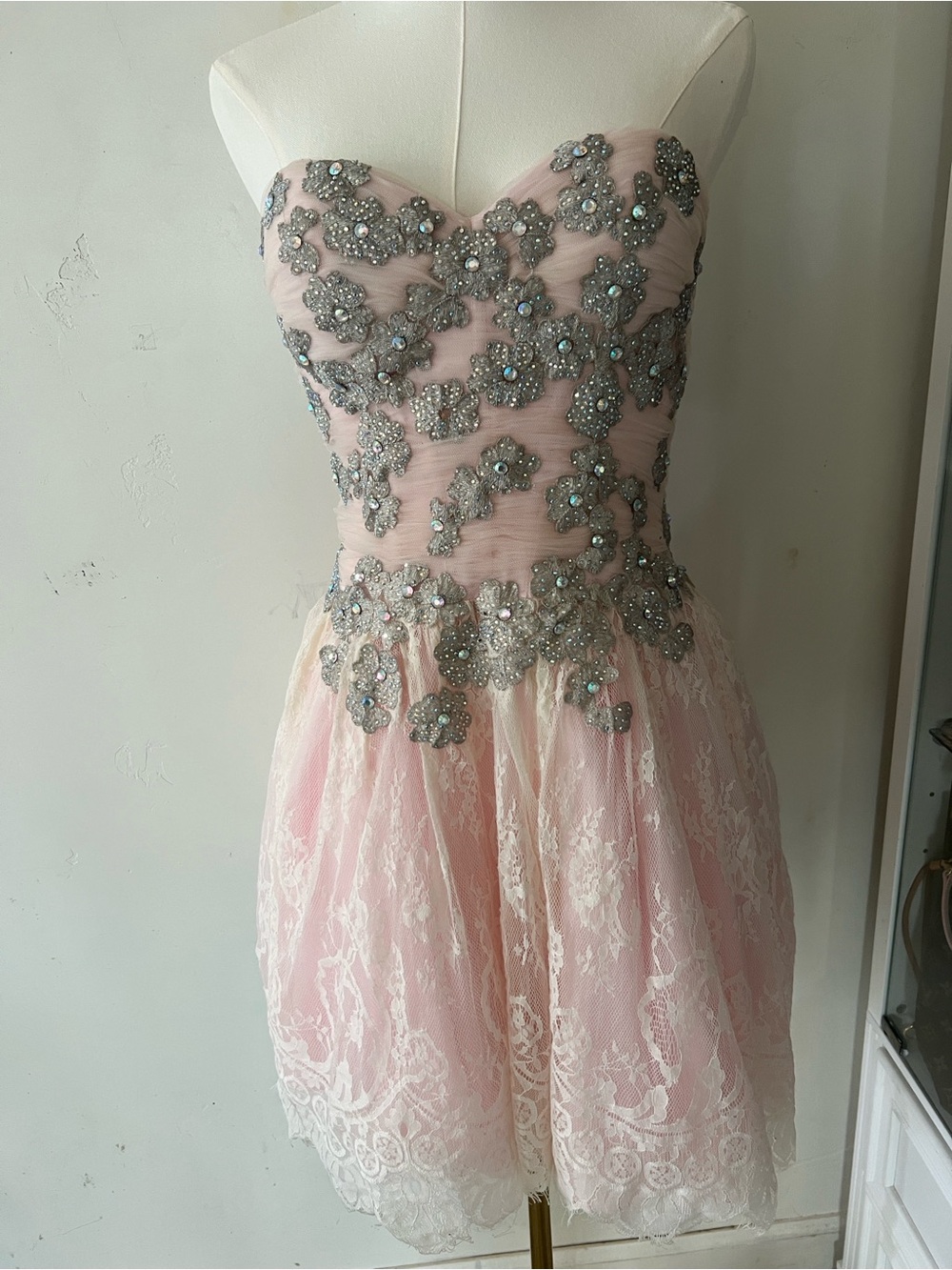 GiGi New York Strapless Light Pink and Silver Embellished Lace Dress